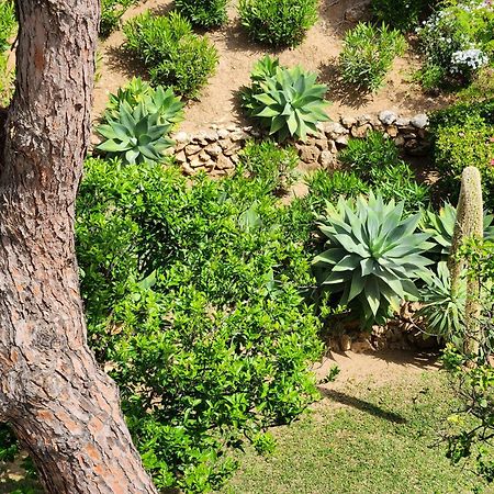 Elena Flat Lovely Paradise Above The Sea Sitio de Calahonda Exterior foto