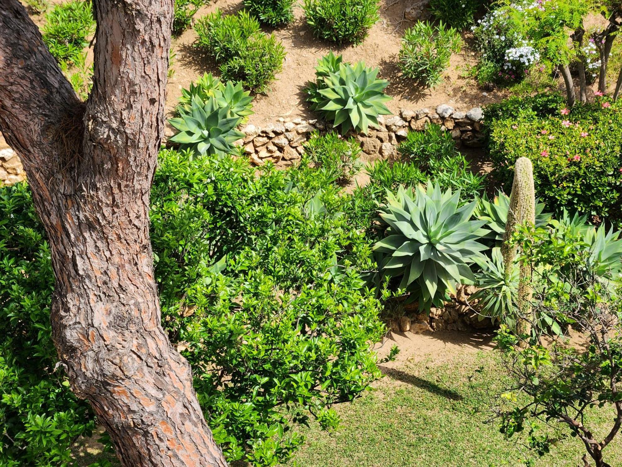 Elena Flat Lovely Paradise Above The Sea Sitio de Calahonda Exterior foto